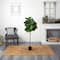 4.5ft. Fiddle Leaf Tree with White Planter
